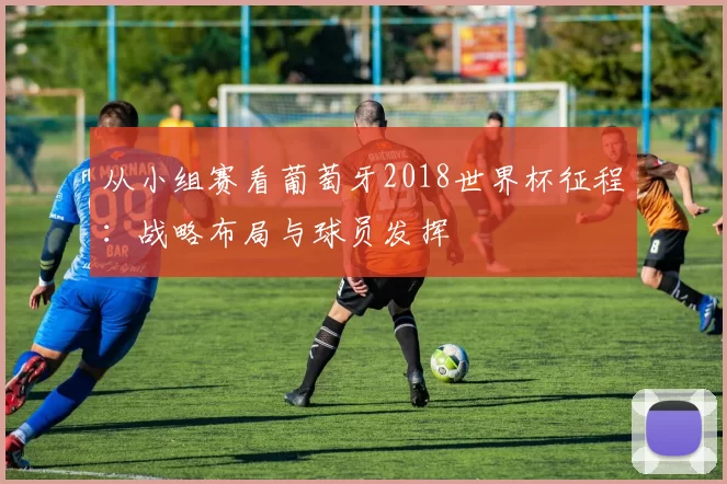 从小组赛看葡萄牙2018世界杯征程:战略布局与球员发挥