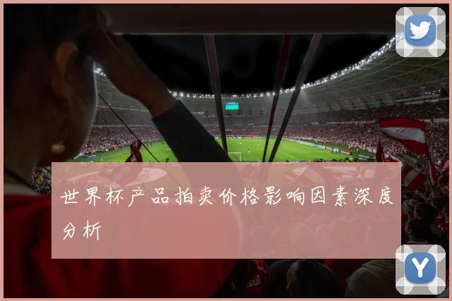 世界杯产品拍卖价格影响因素深度分析