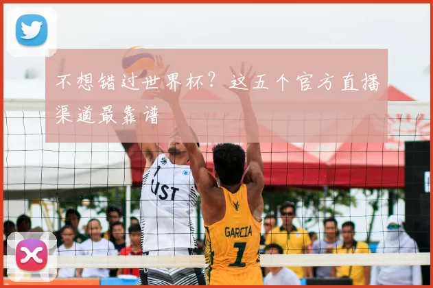 不想错过世界杯?这五个官方直播渠道最靠谱