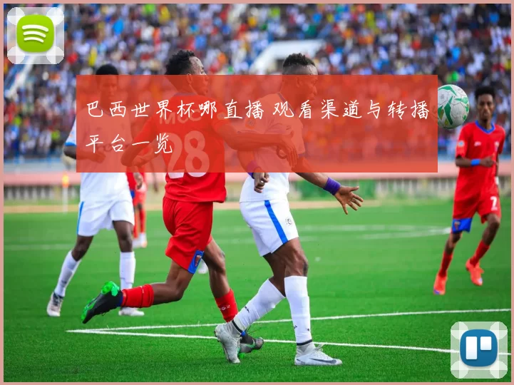 巴西世界杯哪直播 观看渠道与转播平台一览