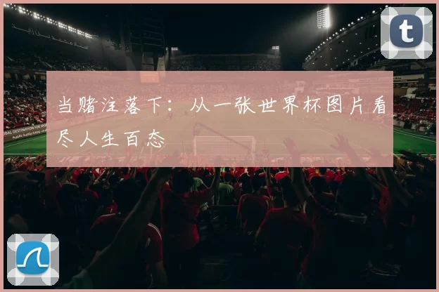 当赌注落下:从一张世界杯图片看尽人生百态