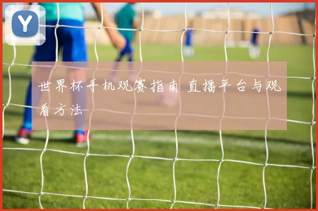 世界杯手机观赛指南 直播平台与观看方法