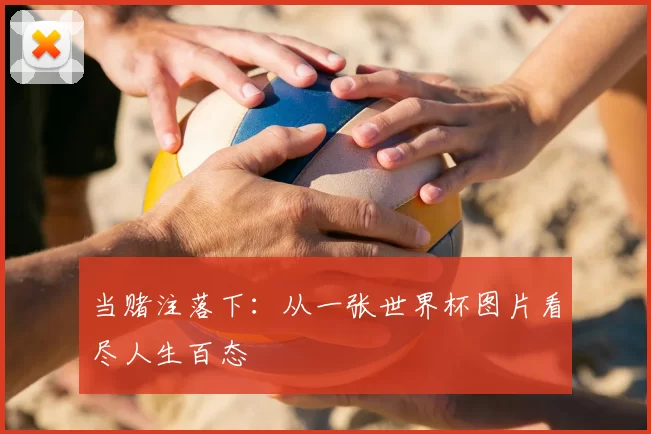 当赌注落下:从一张世界杯图片看尽人生百态