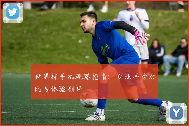 世界杯手机观赛指南:合法平台对比与体验测评