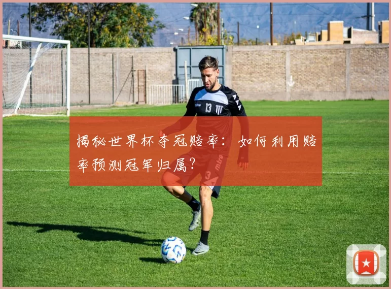 揭秘世界杯夺冠赔率：如何利用赔率预测冠军归属？