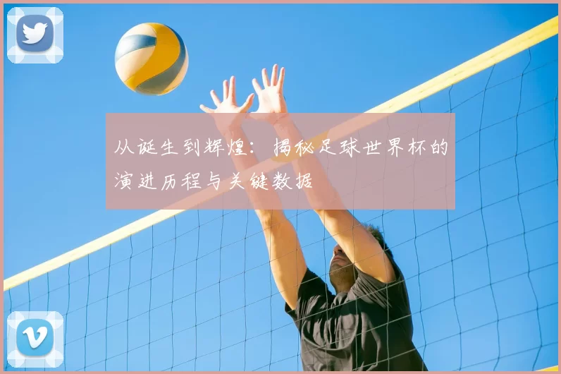 从诞生到辉煌：揭秘足球世界杯的演进历程与关键数据