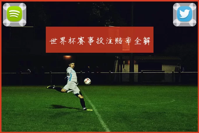 世界杯赛事投注赔率全解