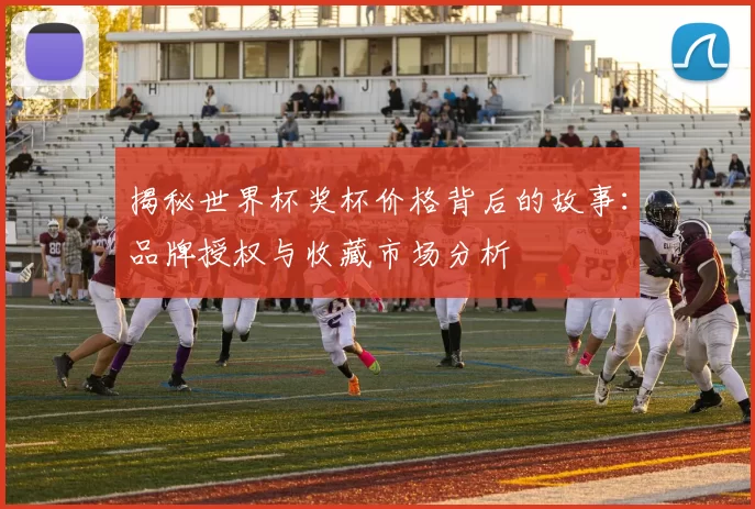 揭秘世界杯奖杯价格背后的故事：品牌授权与收藏市场分析