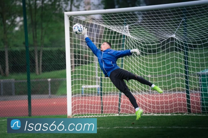 彩神vll服务体系